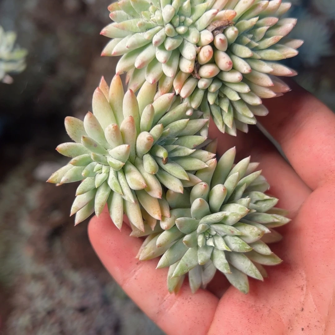 1973哈哈哈哈哈哈哈