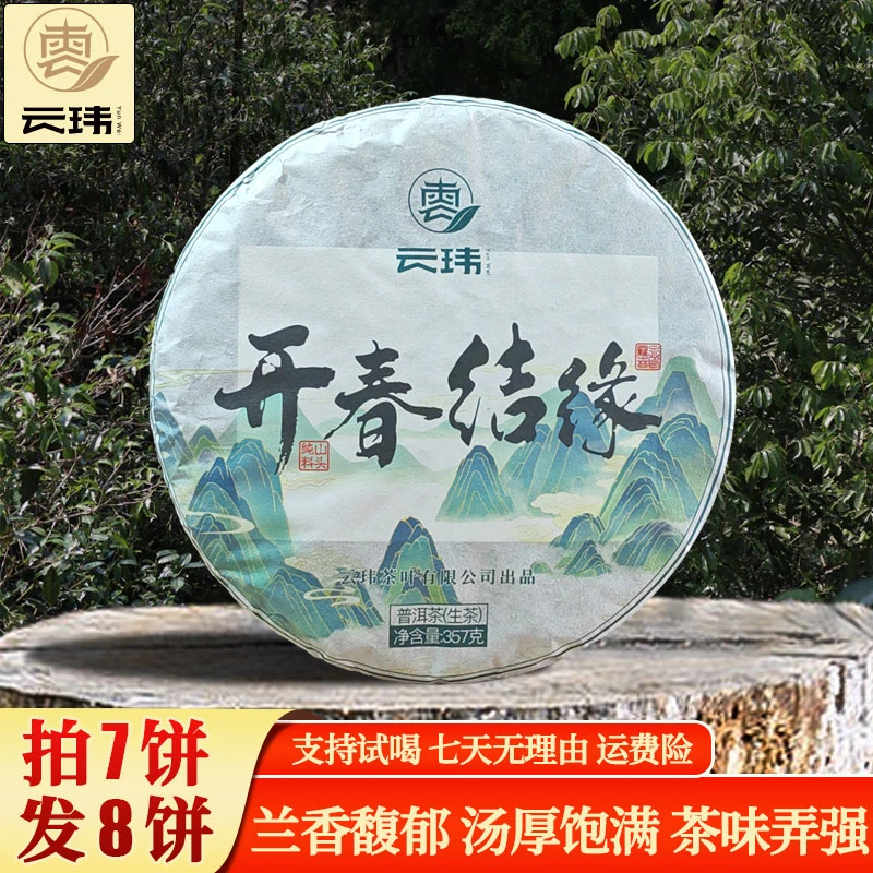 云玮2020开春结缘古树纯料头春头采普洱茶生茶 357g七子饼茶