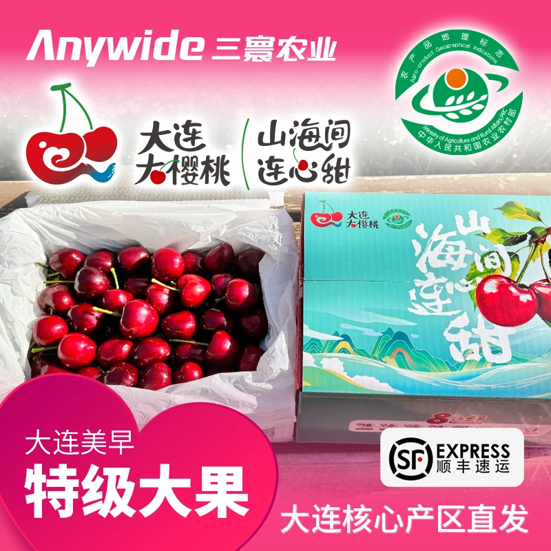 特级大果  大连美早大樱桃 山海间·连心甜 产地现摘 顺丰直发
