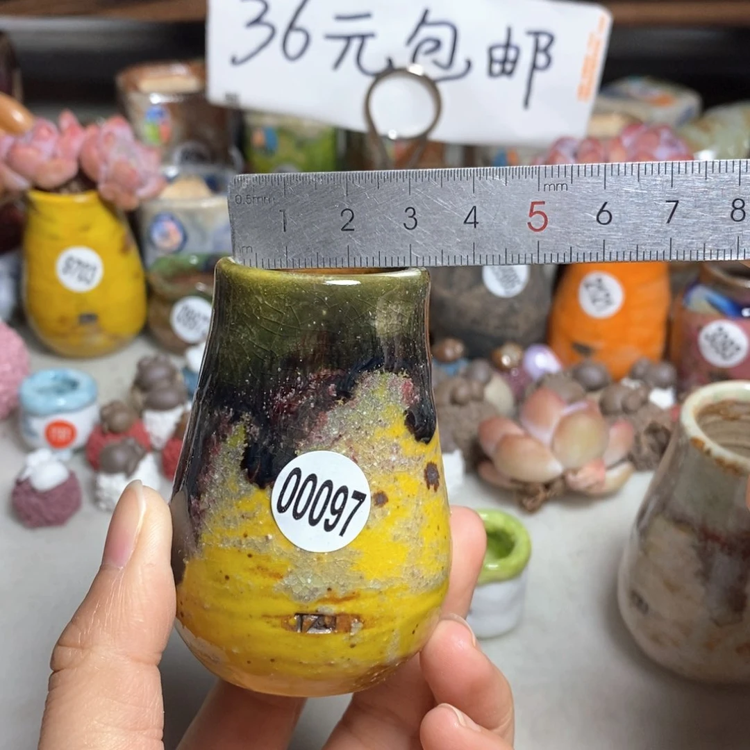 拍5送一个小礼物