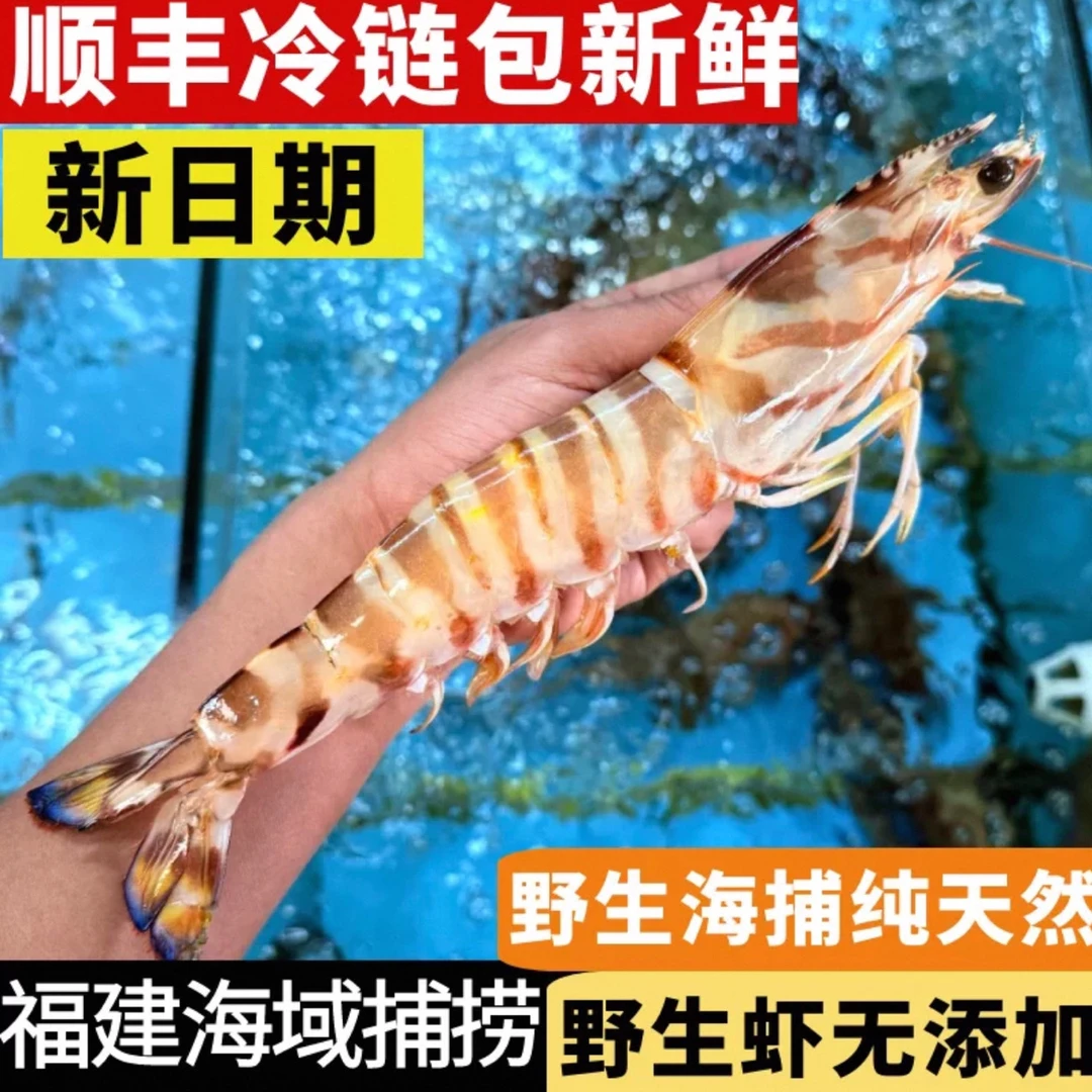 【顺丰包邮】深海野生斑节虾九节虾花虾刺身级液氮锁鲜活冻发货