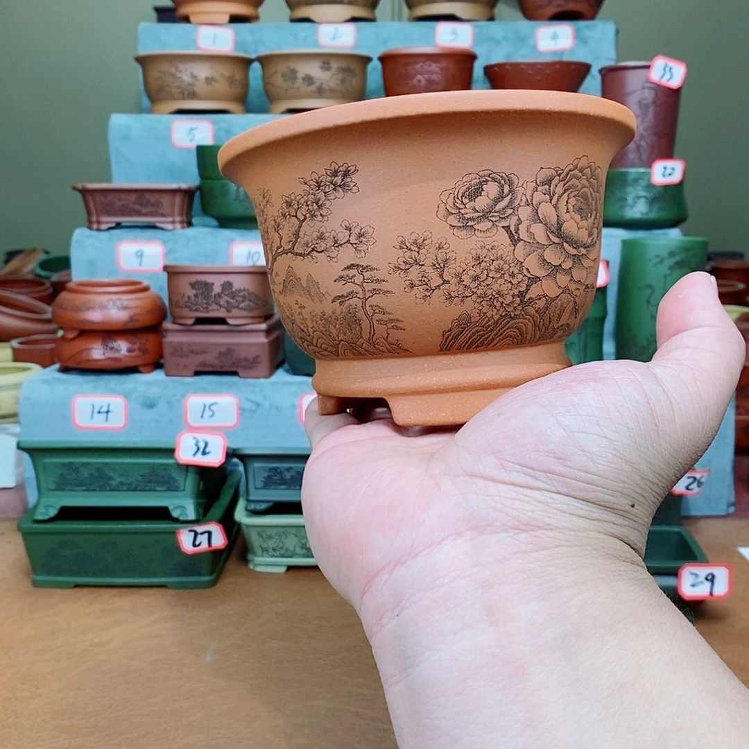 紫砂花盆无*我在看书