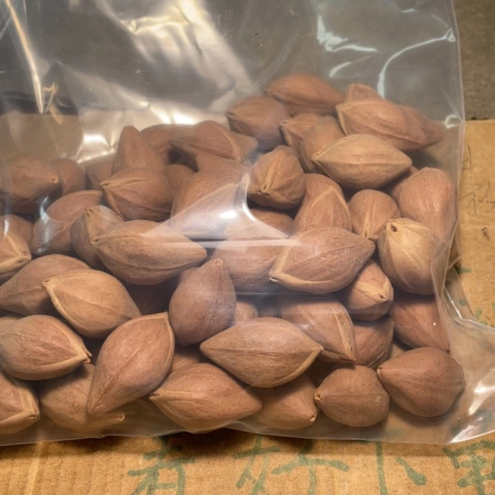 亮***型橄榄核手串/手链不退不换qtgyuu