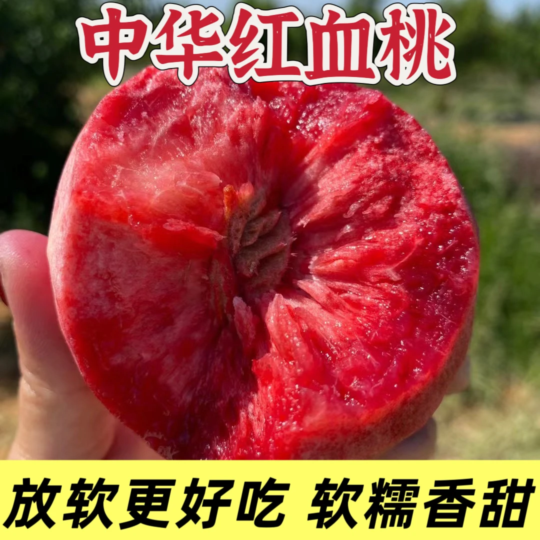 【顺丰速达】正宗老树玫瑰血桃中华血桃新鲜现摘血桃红心红肉伟