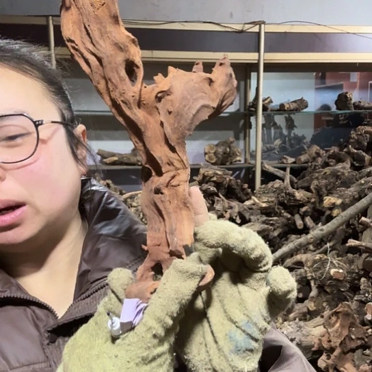 香榧木正****能火琉璃的故事毛料摆件