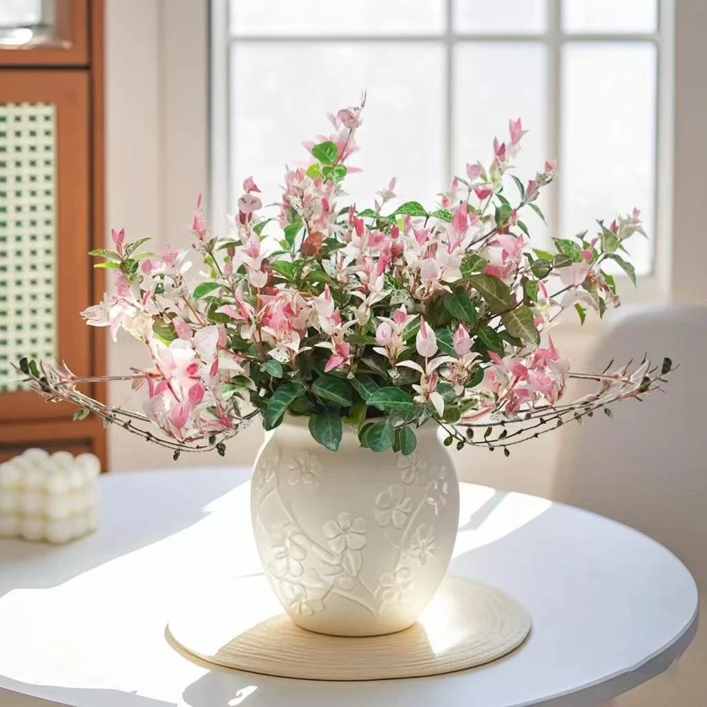 花叶络石花苗盆栽四季彩叶垂吊耐寒耐热庭院阳台绿植花卉