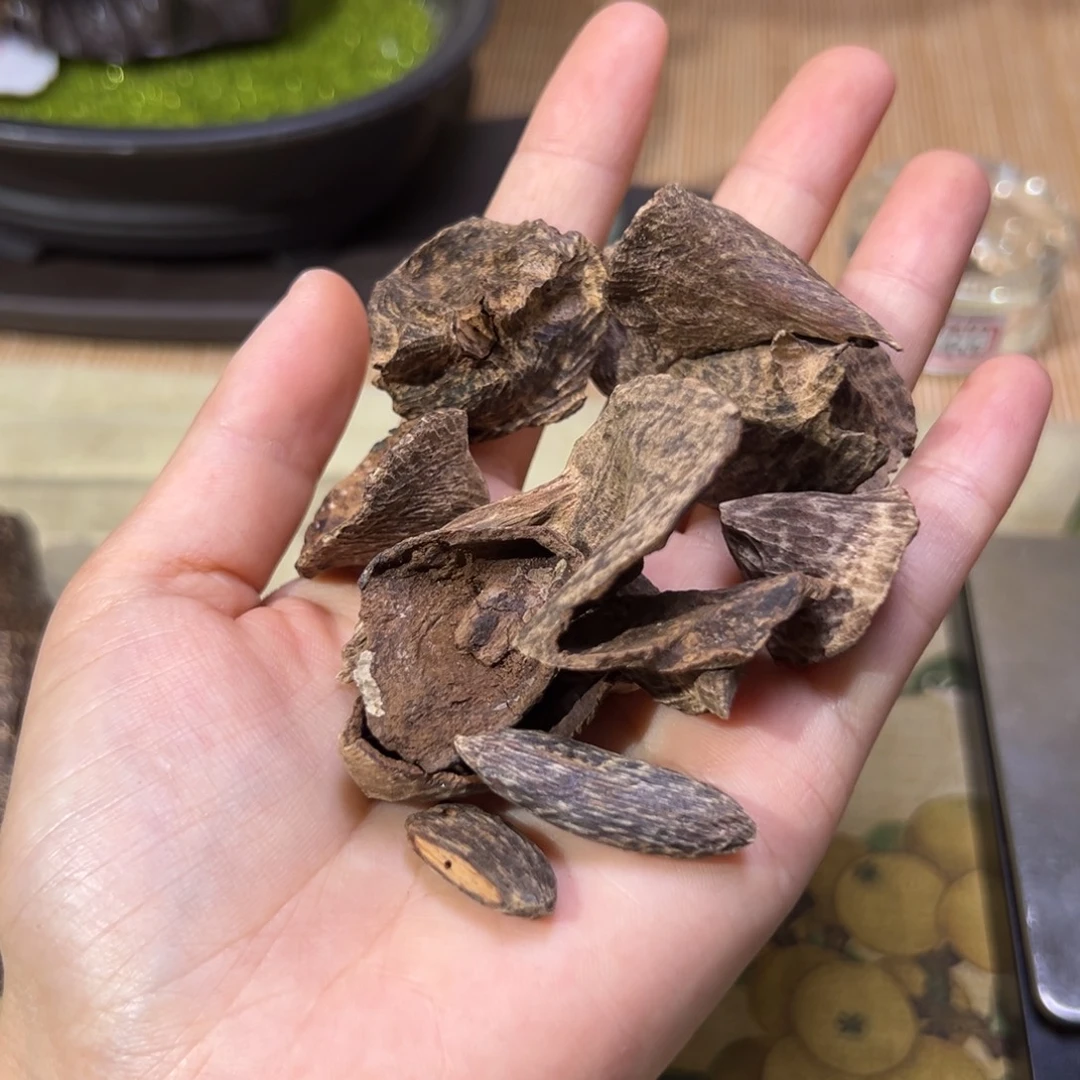 香榧木海南木料尖峰岭小斗笠10克