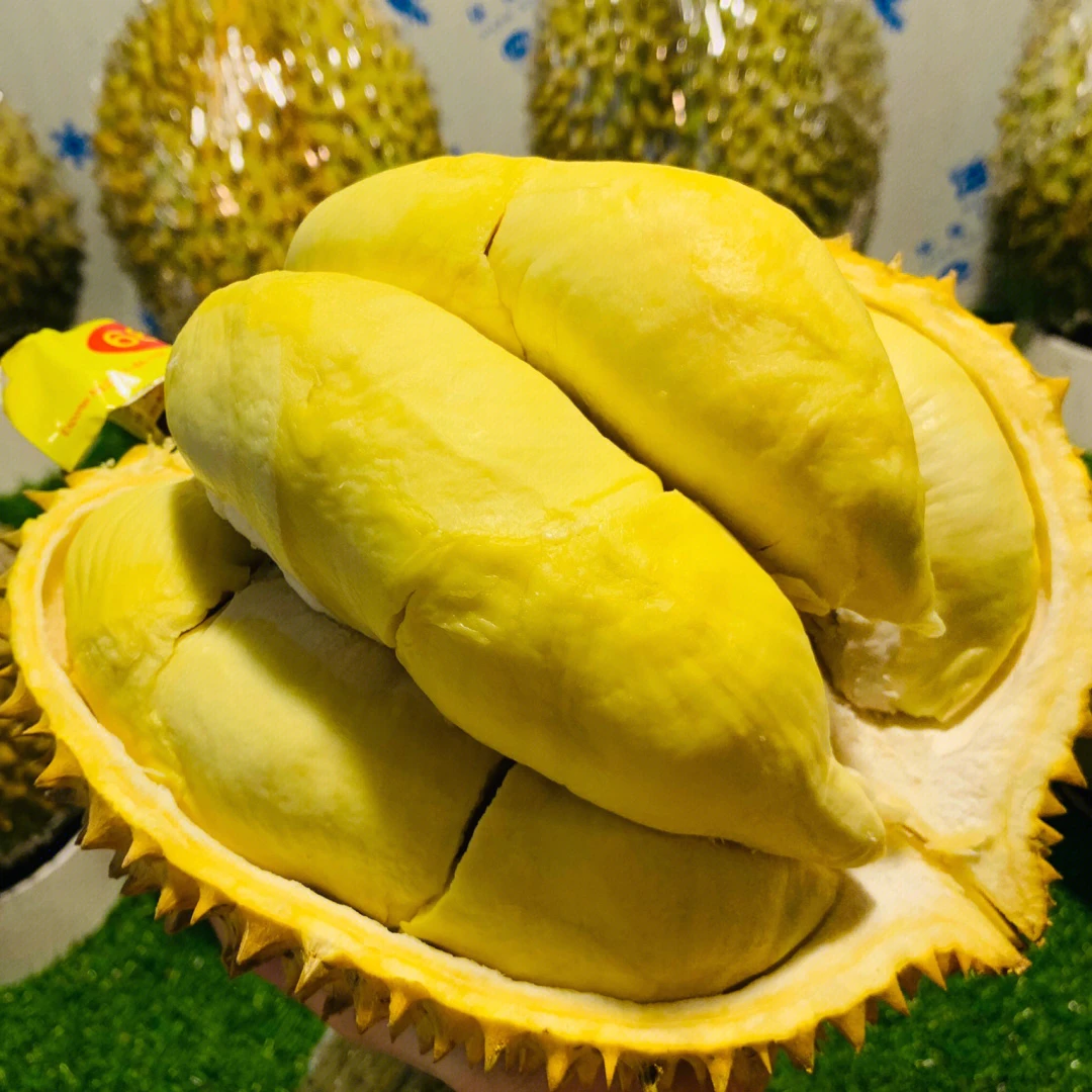 ③新鲜金枕树熟榴莲A果一个约4-7斤，核小（一果一拍）保40%出肉率金枕泰国