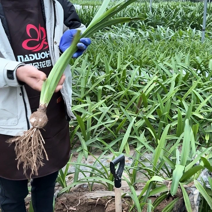 快***营随机基地球一个，，，，