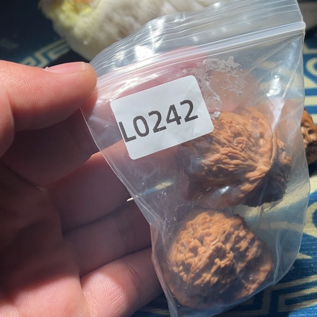 文玩核桃吊坠还*白狮子