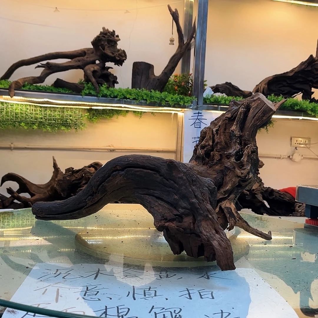 柚木沉木鱼缸造景
