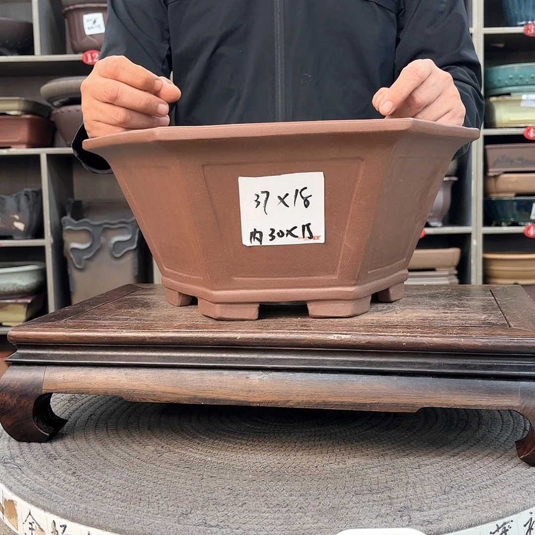紫砂花盆紫砂的花也太