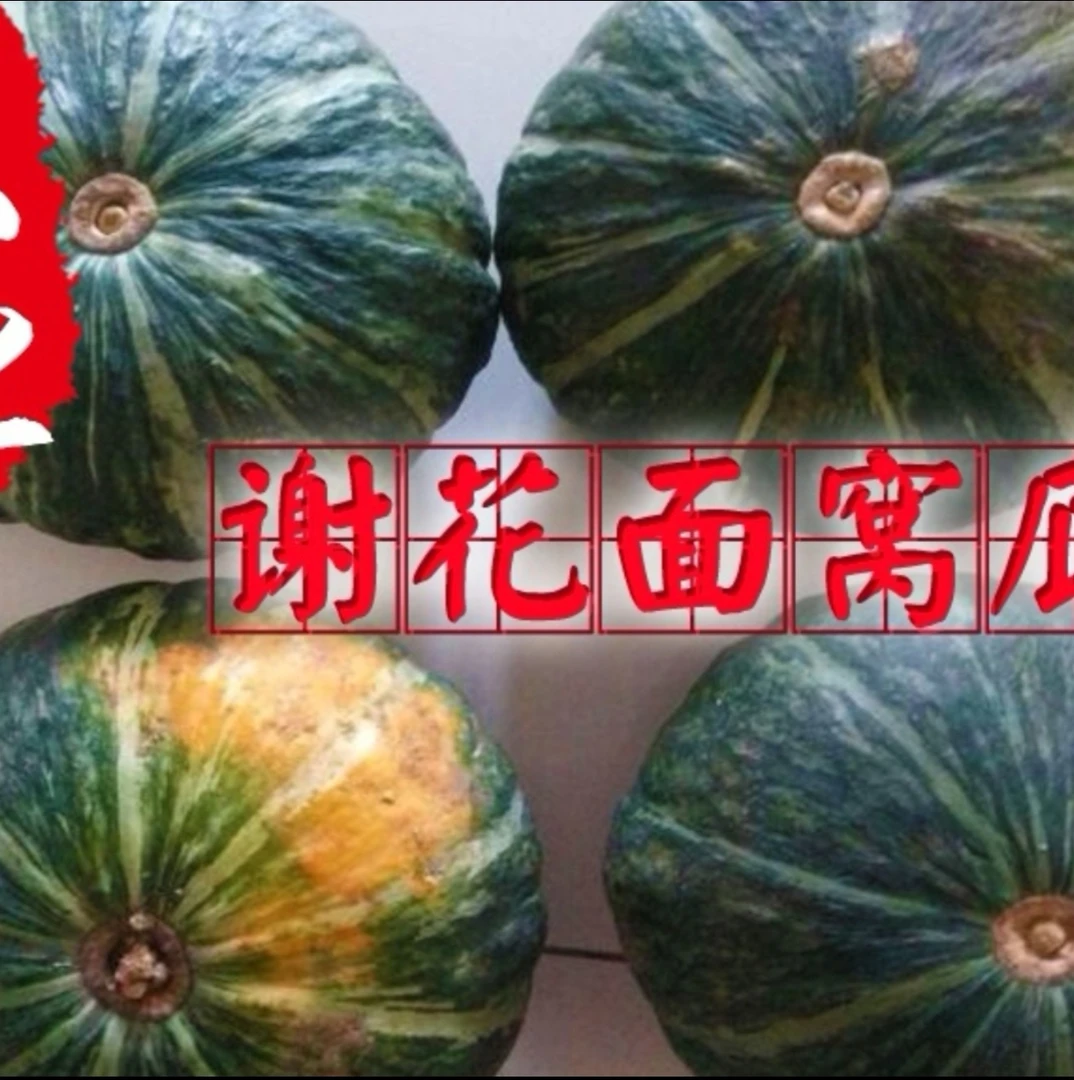 东北绿色面窝瓜（4.5到5斤之间）