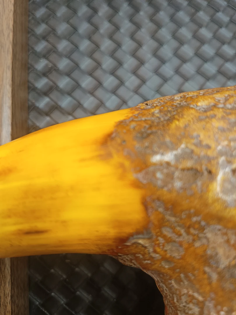 大果紫檀缅甸花梨  C184