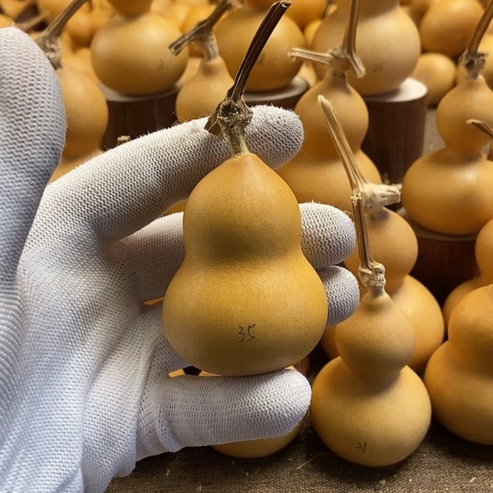 文玩葫芦 完美主义者 慎拍35