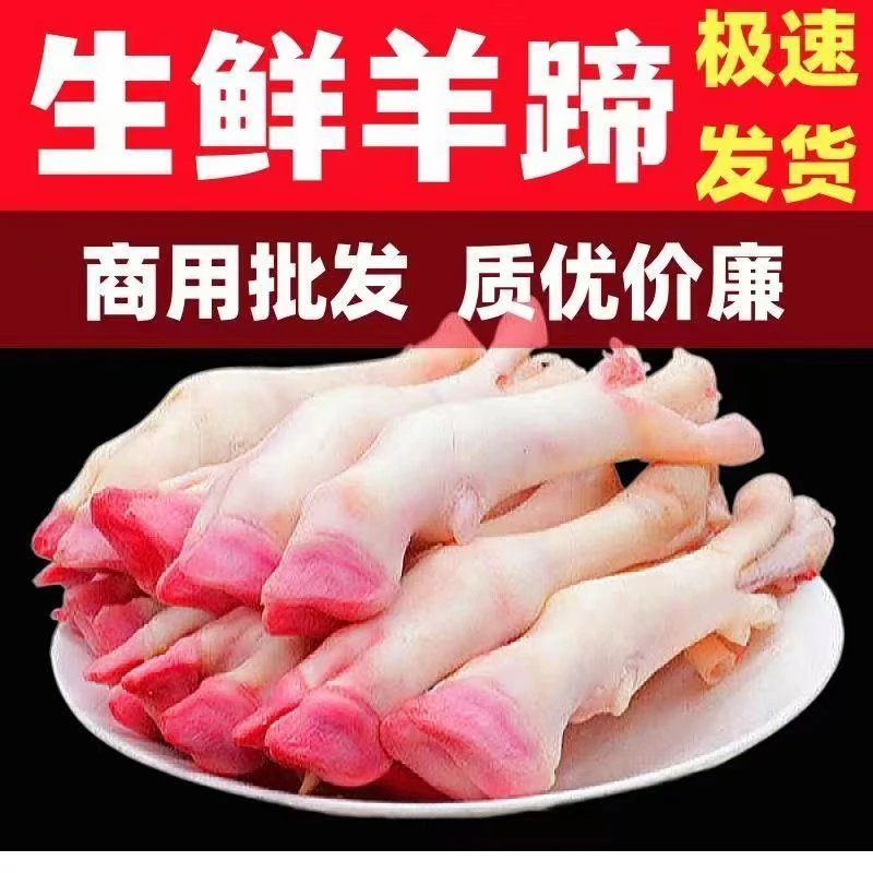 5斤羊蹄新鲜羊蹄子带筋多肉羊脚整只速冻羊蹄包邮