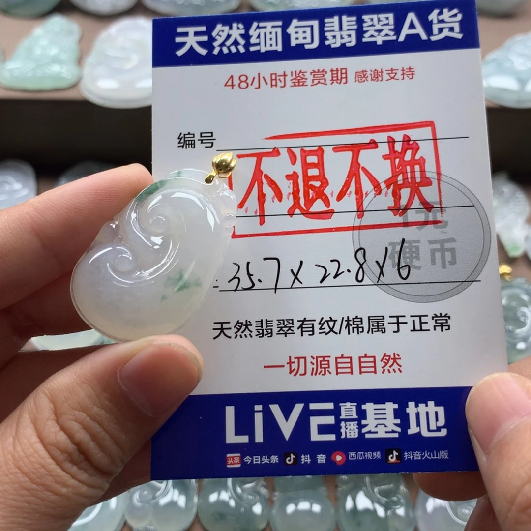颈饰18K金镶嵌翡翠*️**天然翡翠
