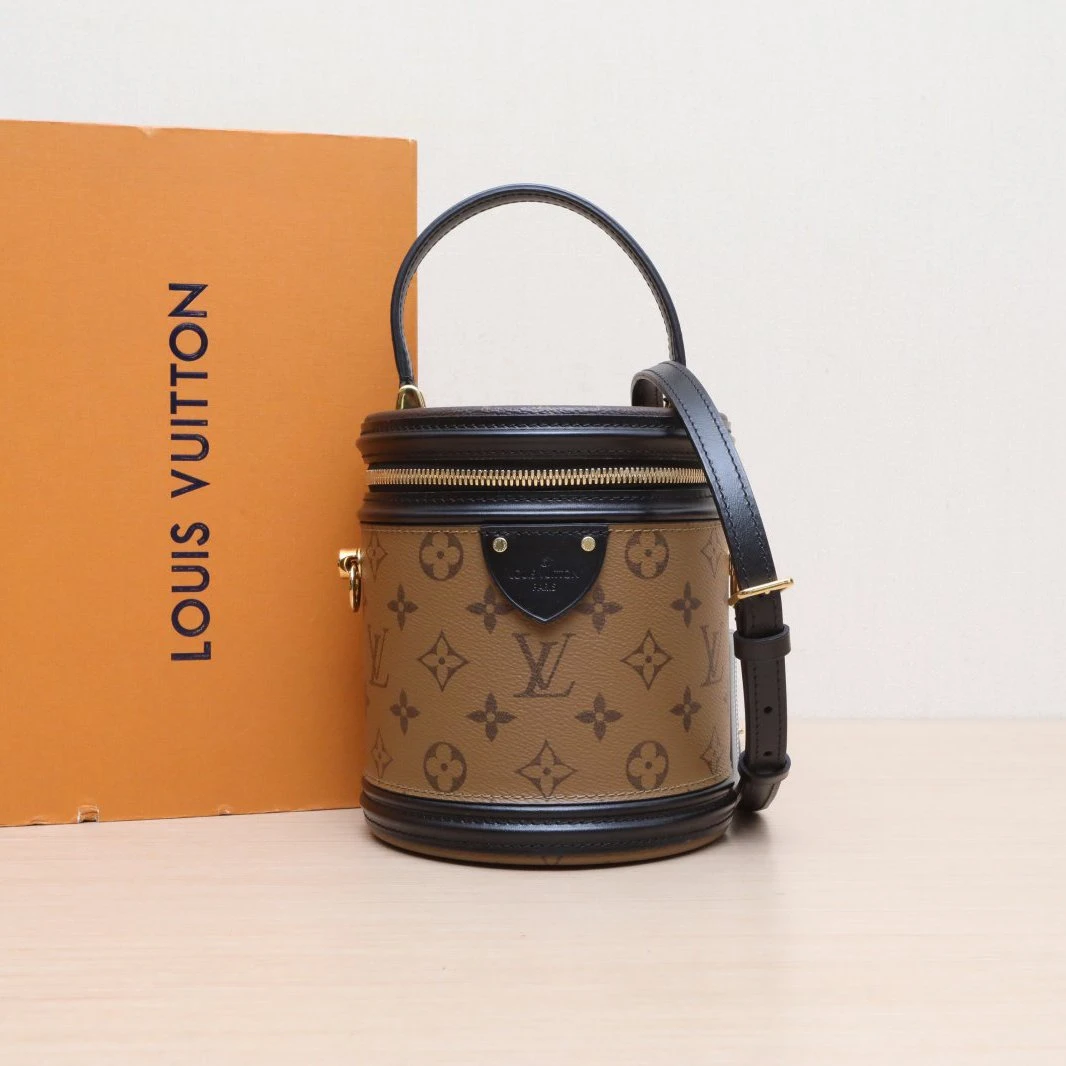95新 LouisVuitton/路易威登 【娇】圆桶包拼色PVC 芯片2020 461098