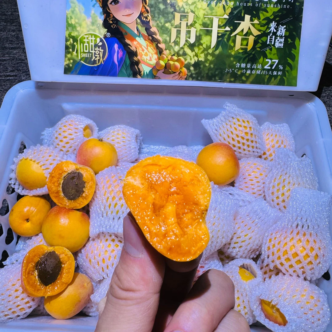 【恒泽优选】新疆吊干杏
