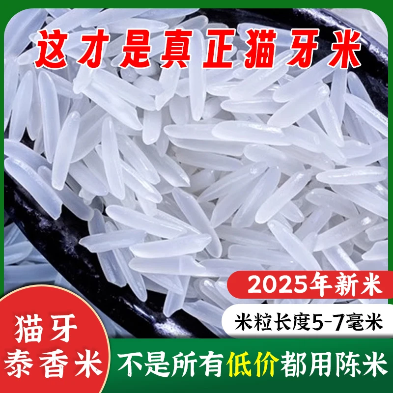 真空10斤5斤正宗猫牙米2025新米香米新大米长粒香米猫牙长粒香米