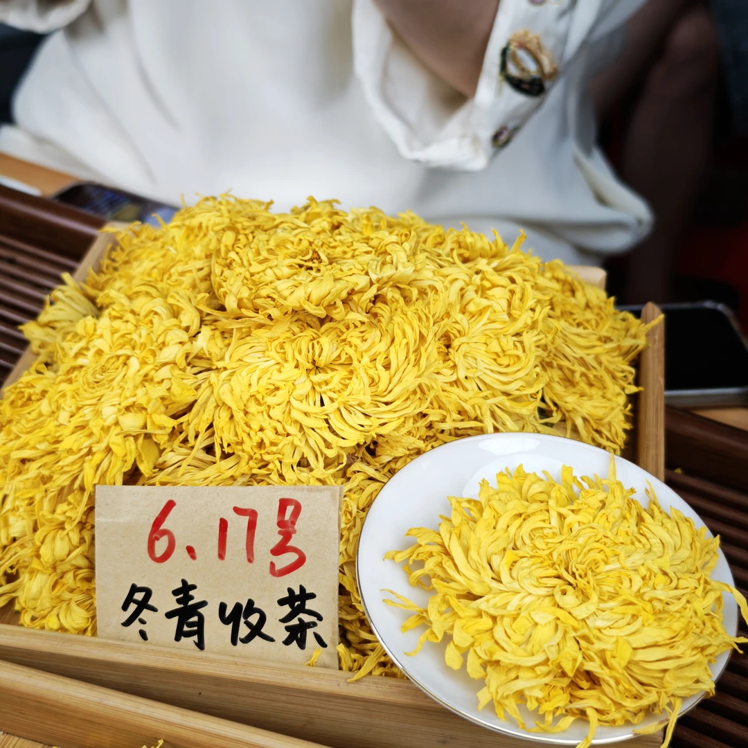 头采花王金丝皇菊 江西修水特大花 冬青收茶