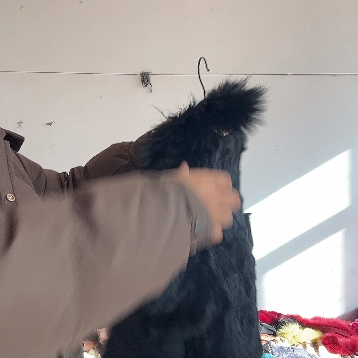 D***n你的意思就是我的意思