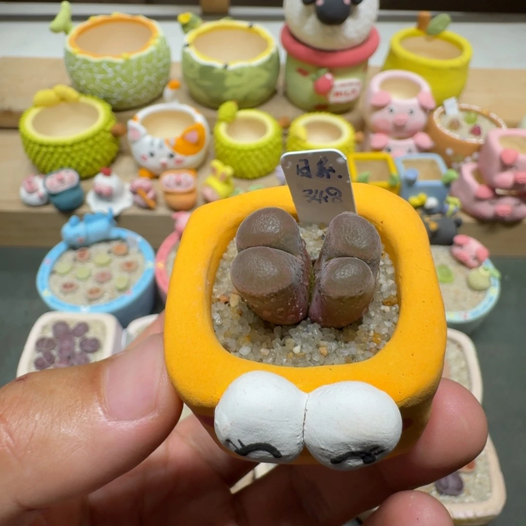 蘑菇225日系风铃