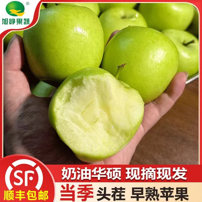 陕西白水华硕奶油青苹果当季新果新鲜现摘现发酸甜口感包邮5斤