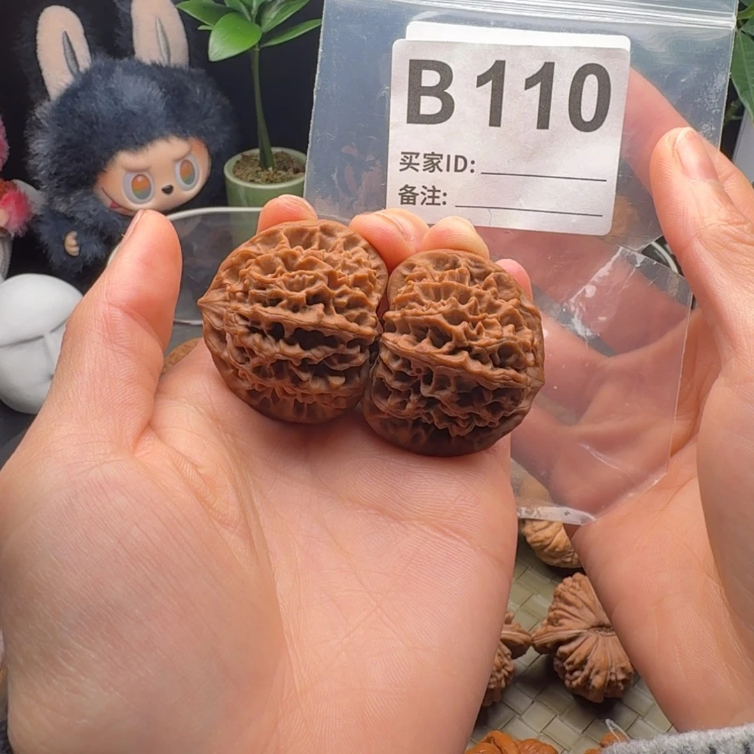 龙脊菩提把件全品秦闷38+