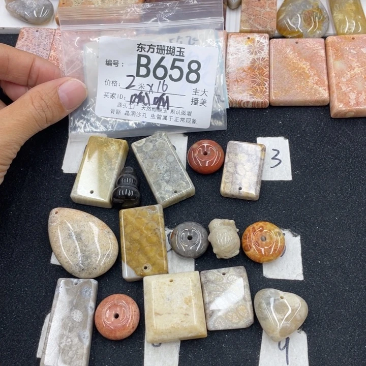 硅化珊瑚（珊瑚玉）颈饰合金呱**唧