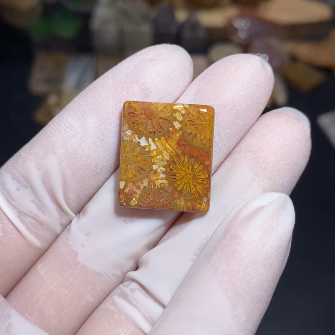 【闪购商品】硅化玉珊瑚玉未镶嵌