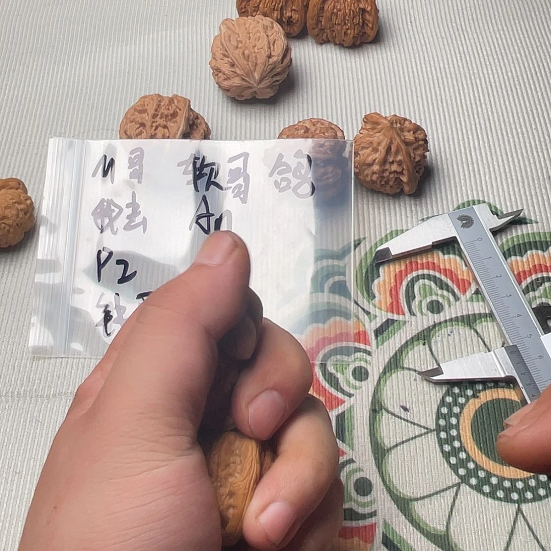 P***2核桃种植和畜牧经济合作