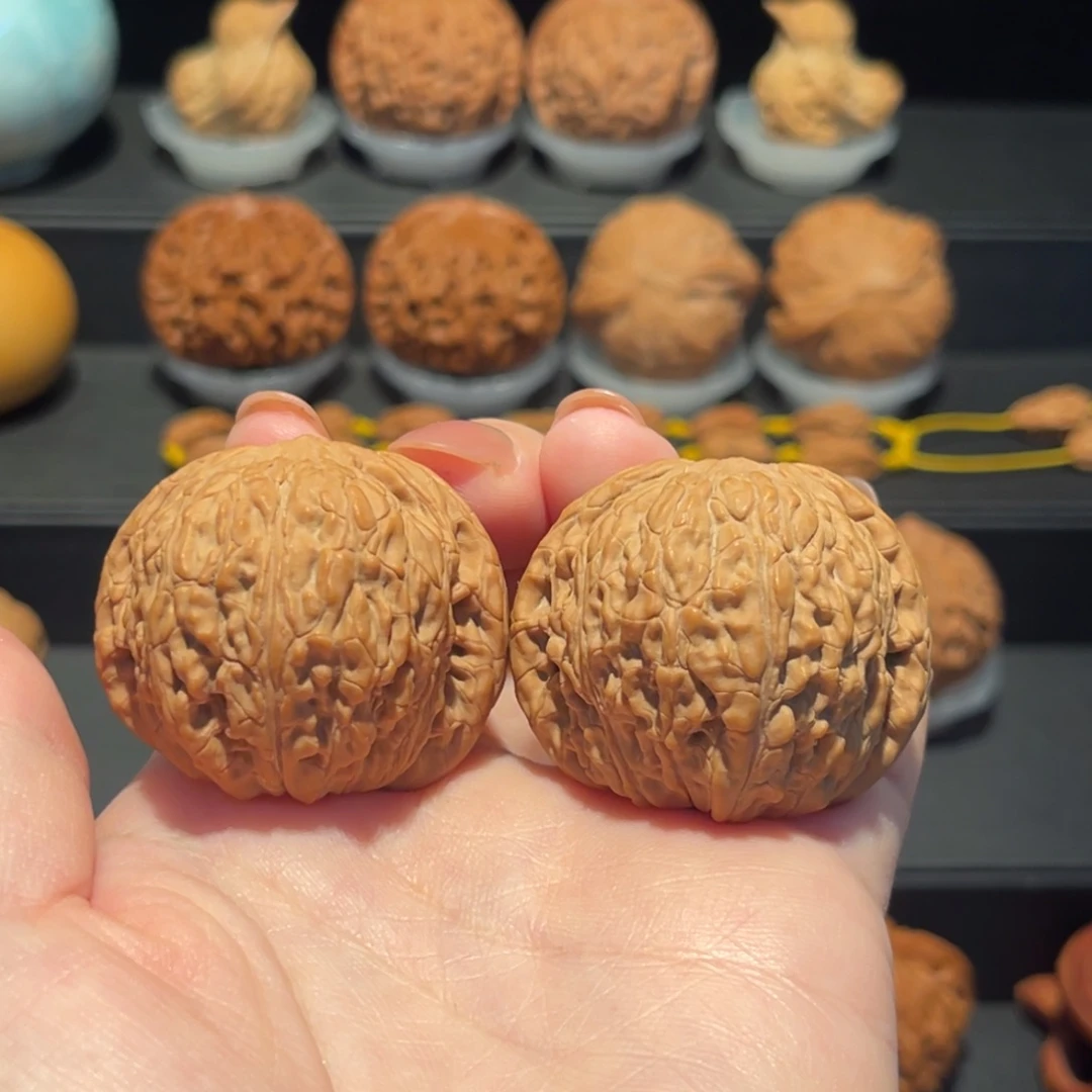 泥鳅背40精品，全品284