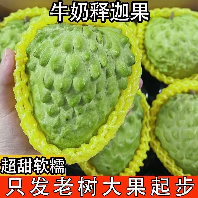 潮汕高原凤梨牛奶释迦果新鲜超甜口感似冰激凌的水果