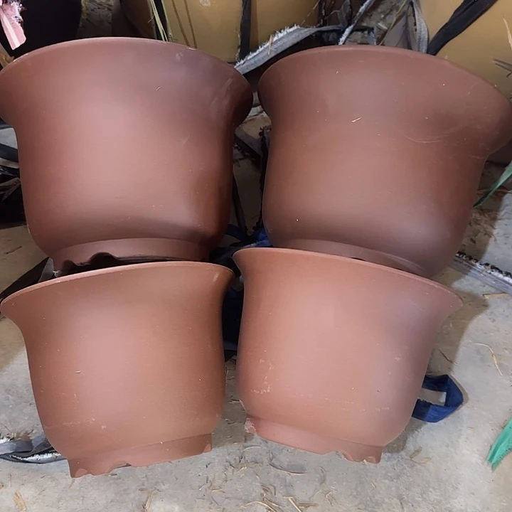 25×17    20×15 各两只