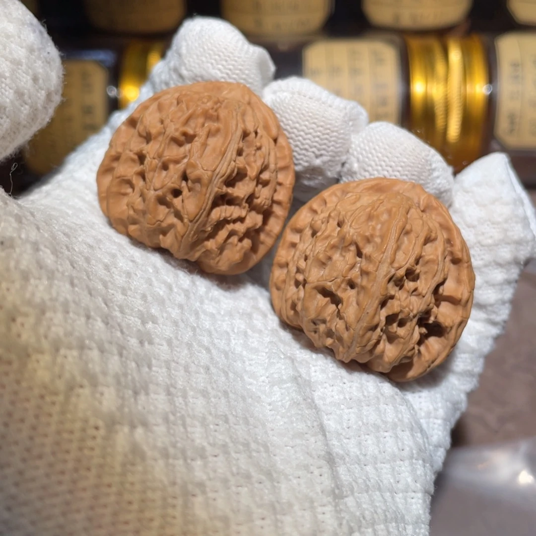 核桃39三角白bbbb