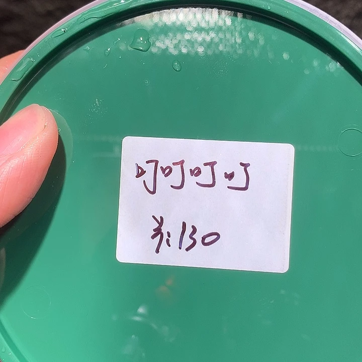 叮叮叮专拍奔跑家