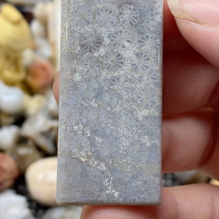 颈饰未镶嵌硅化珊瑚（珊瑚玉）小