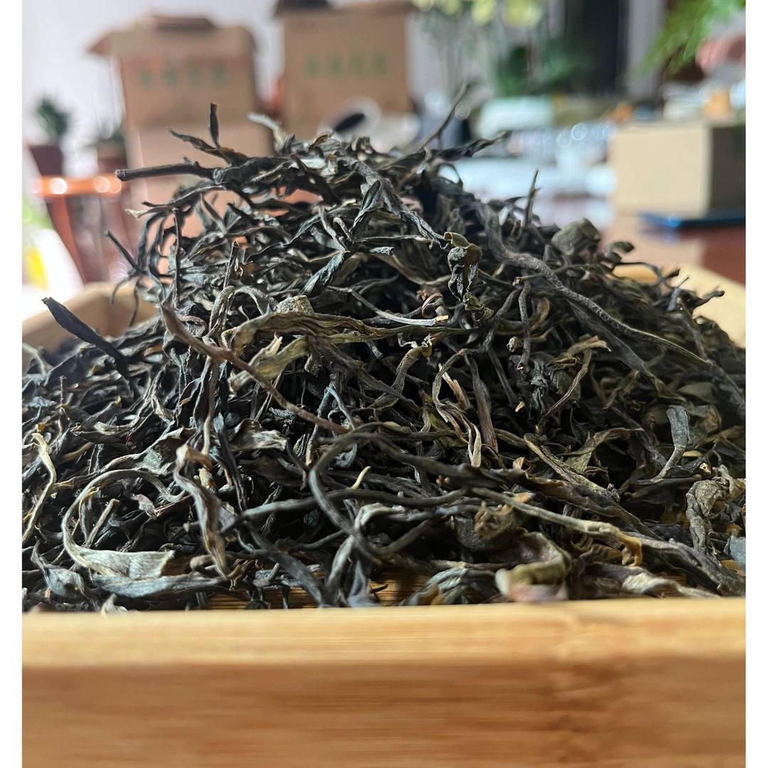 黄草林古树普洱生茶春茶散茶叶直播间云南正宗普洱茶生普洱茶叶