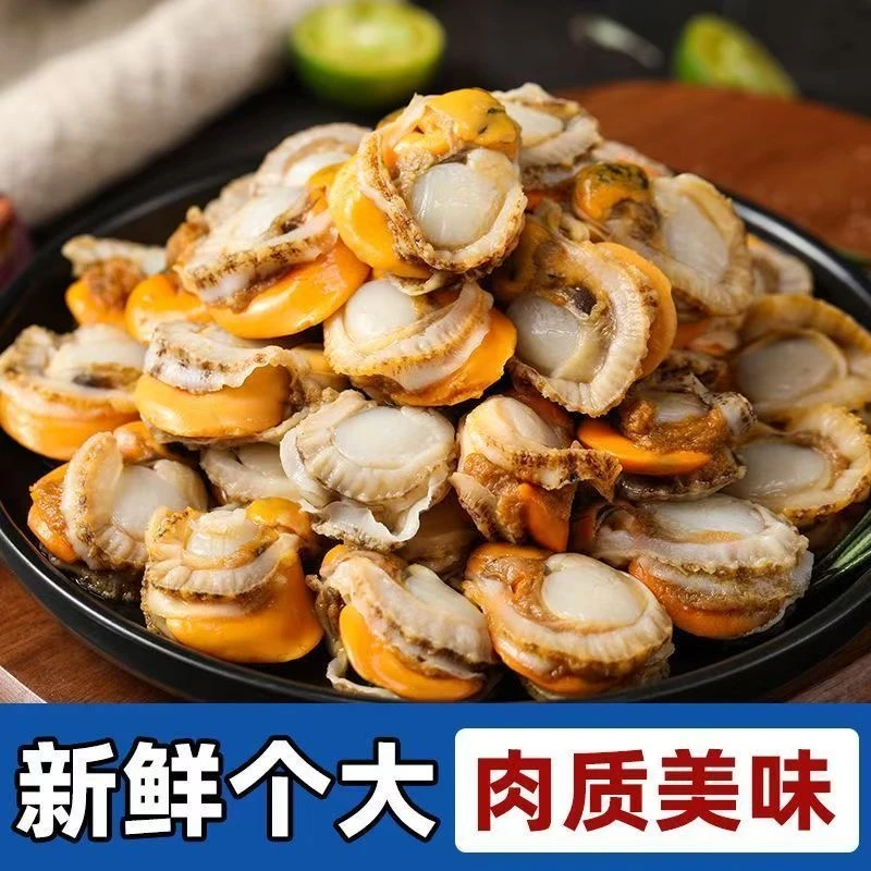 【抢五斤】当季新货无泥无沙新鲜熟冻扇贝肉炒菜饱满去壳带箱5斤
