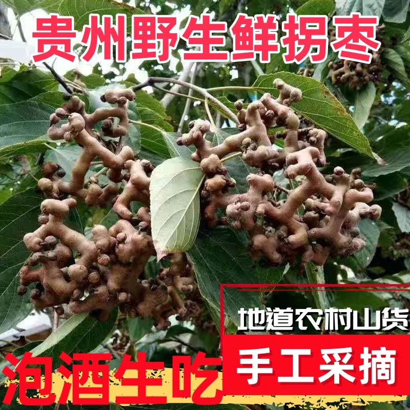 贵州带枝去枝邹皮半干拐枣鸡爪梨万寿果可生吃泡水