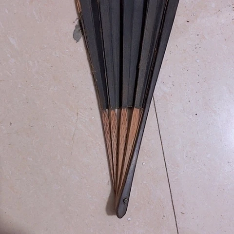 香榧木东*虎Ggghhvhjvhhcgvcvvv