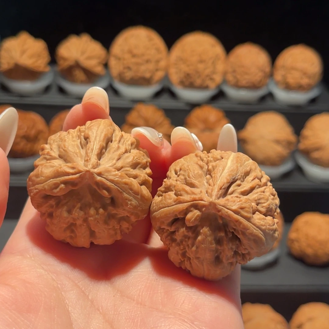 霸王龙三棱全品，大漏