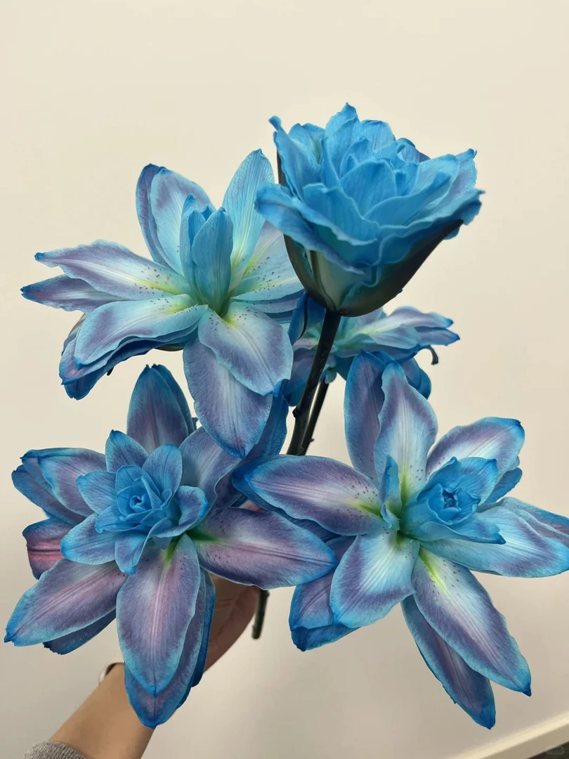 【源头优选】幻境重瓣百合 任意2单鲜花包邮 发货后不支持退款