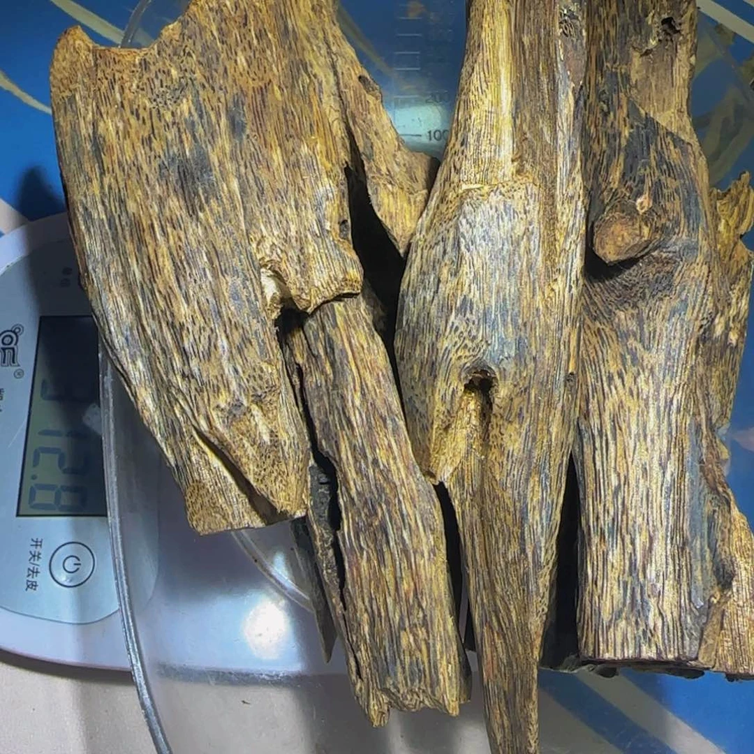 沉香手把件公*哥沉香奇楠虫漏老料312克