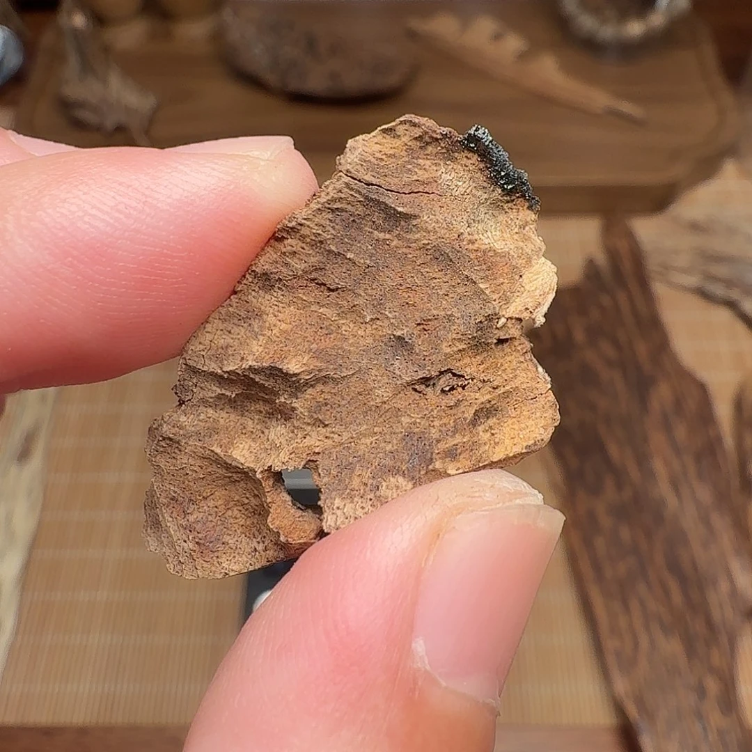 沉香海南熟结老料