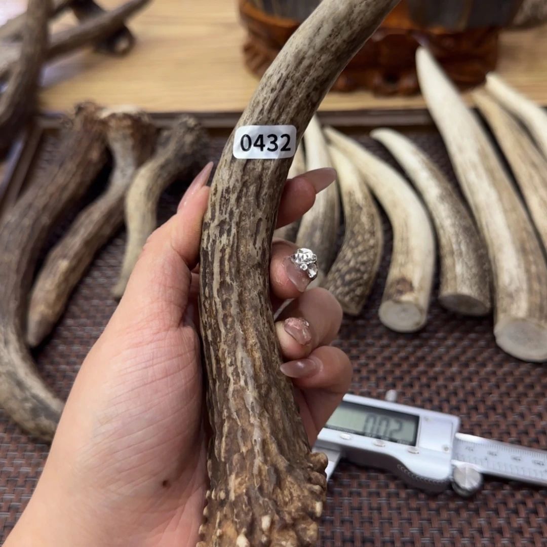 星***星其他鹿骨0432尖00