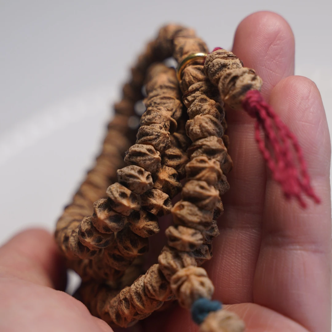 藏切山淮柏香斜切大芽口红芽大肠百香籽