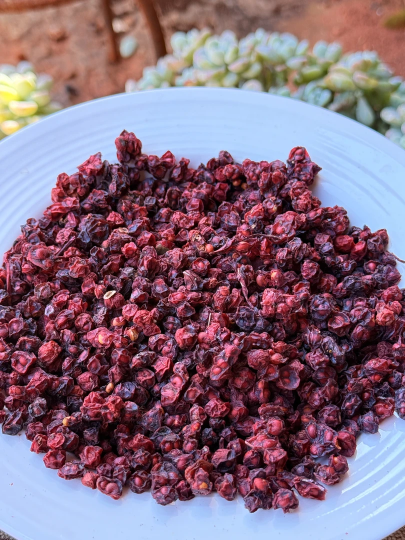 【陈博士高山现收】搭配 藏灵芝 野生五味子