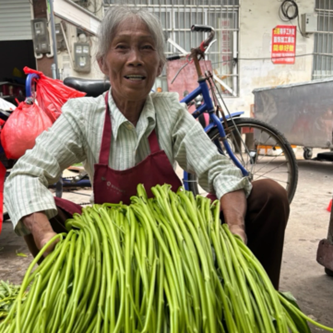《顺丰包邮》正宗博白空心菜 水蕹菜新鲜现摘，没有售后